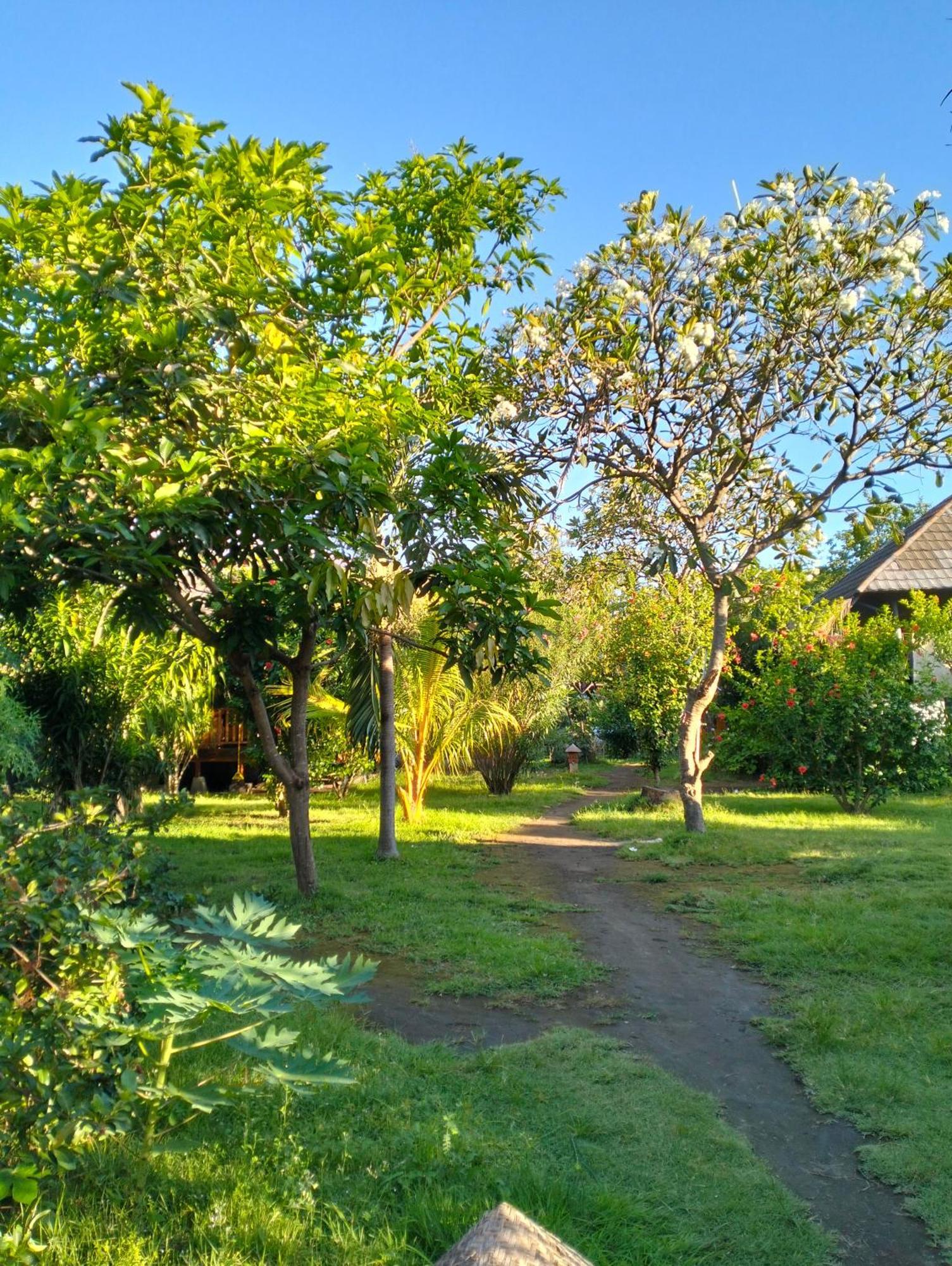 Tangga Bungalows Гили-Эйр Номер фото