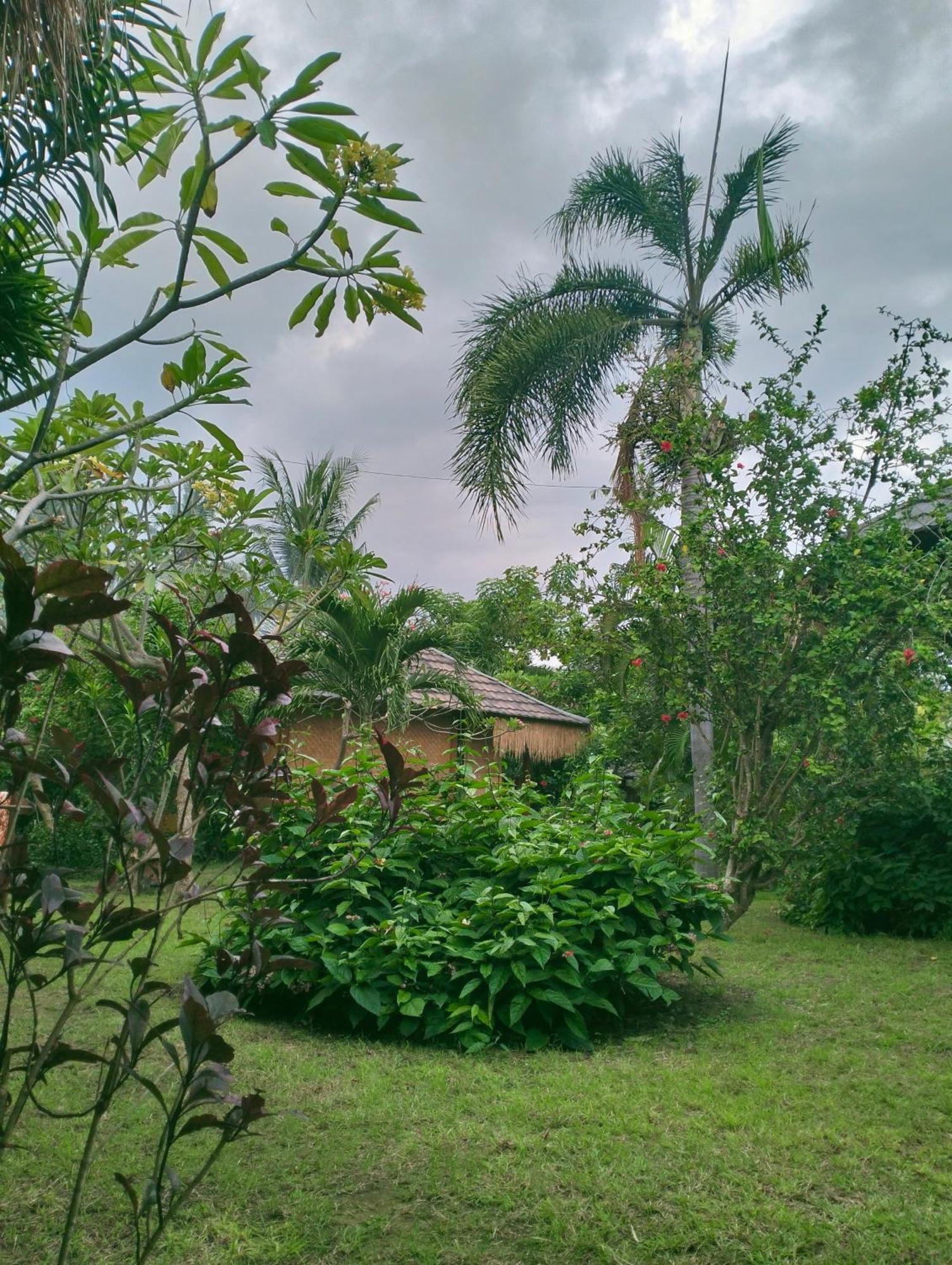 Tangga Bungalows Гили-Эйр Номер фото